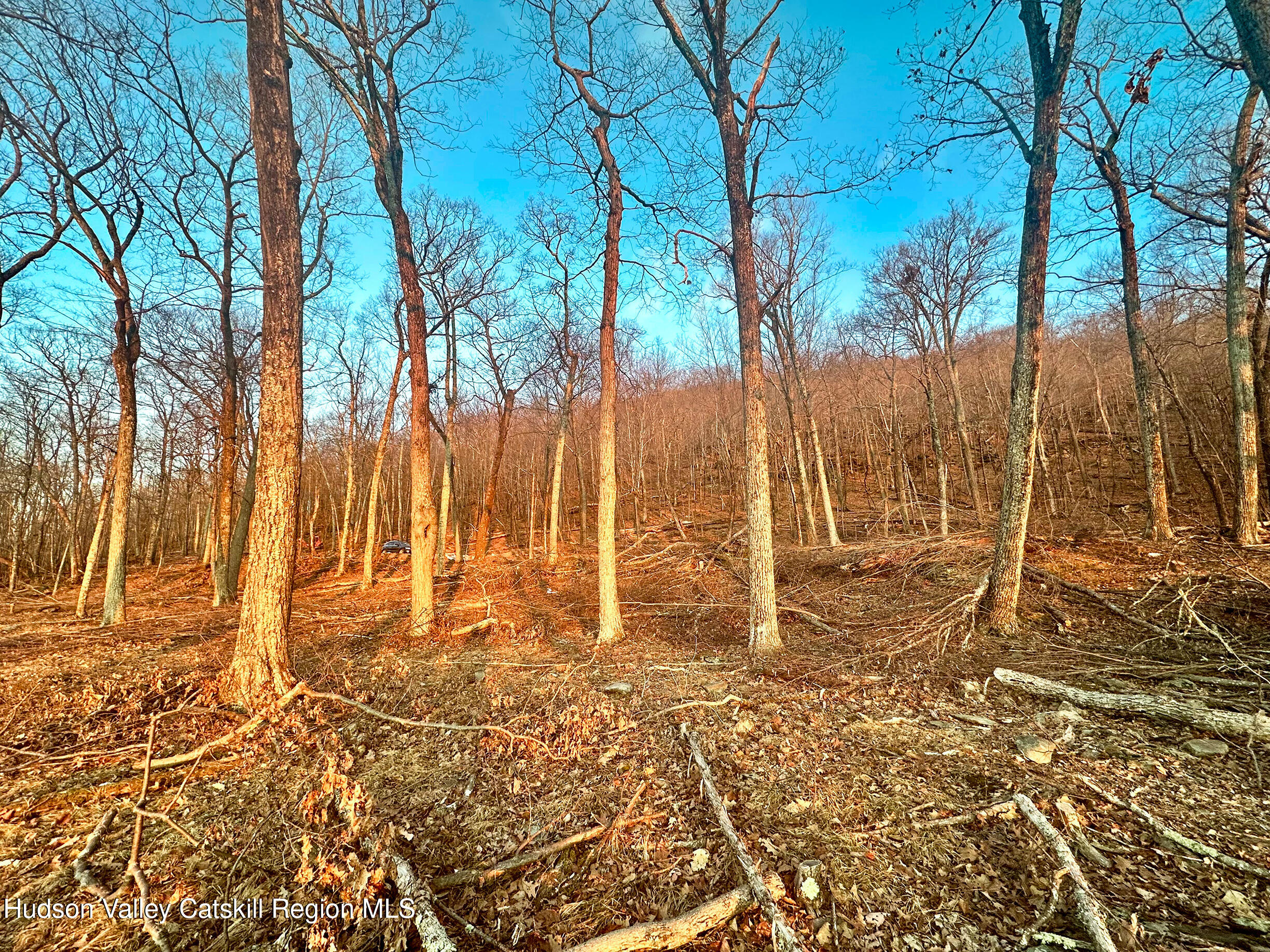 -lot Lot Pitcairn Estates Road Shokan, NY 12481 - Photo 10 of 25 a view of yard