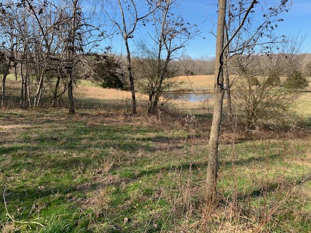 Big Bottom Road Sparta, TN 38583 - Photo 2 of 22 IMG_6075
