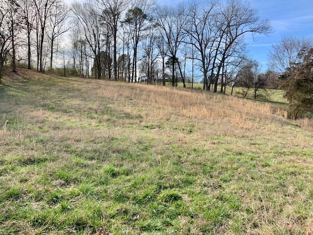 Big Bottom Road Sparta, TN 38583 - Photo 21 of 22 IMG_6108
