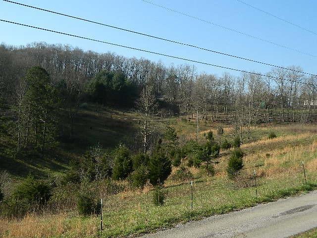 100 Hamm Cemetery Road Somerset, KY 42501 - Photo 17 of 21 Gallery Image 17