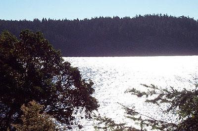 -xxx Ferry Road Lopez Island, WA 98451 - Photo 1 of 1 Gallery Image 1