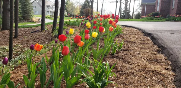 $1,250,000 | 6544 Egypt Ridge Road Northeast, Rockford, MI 49341