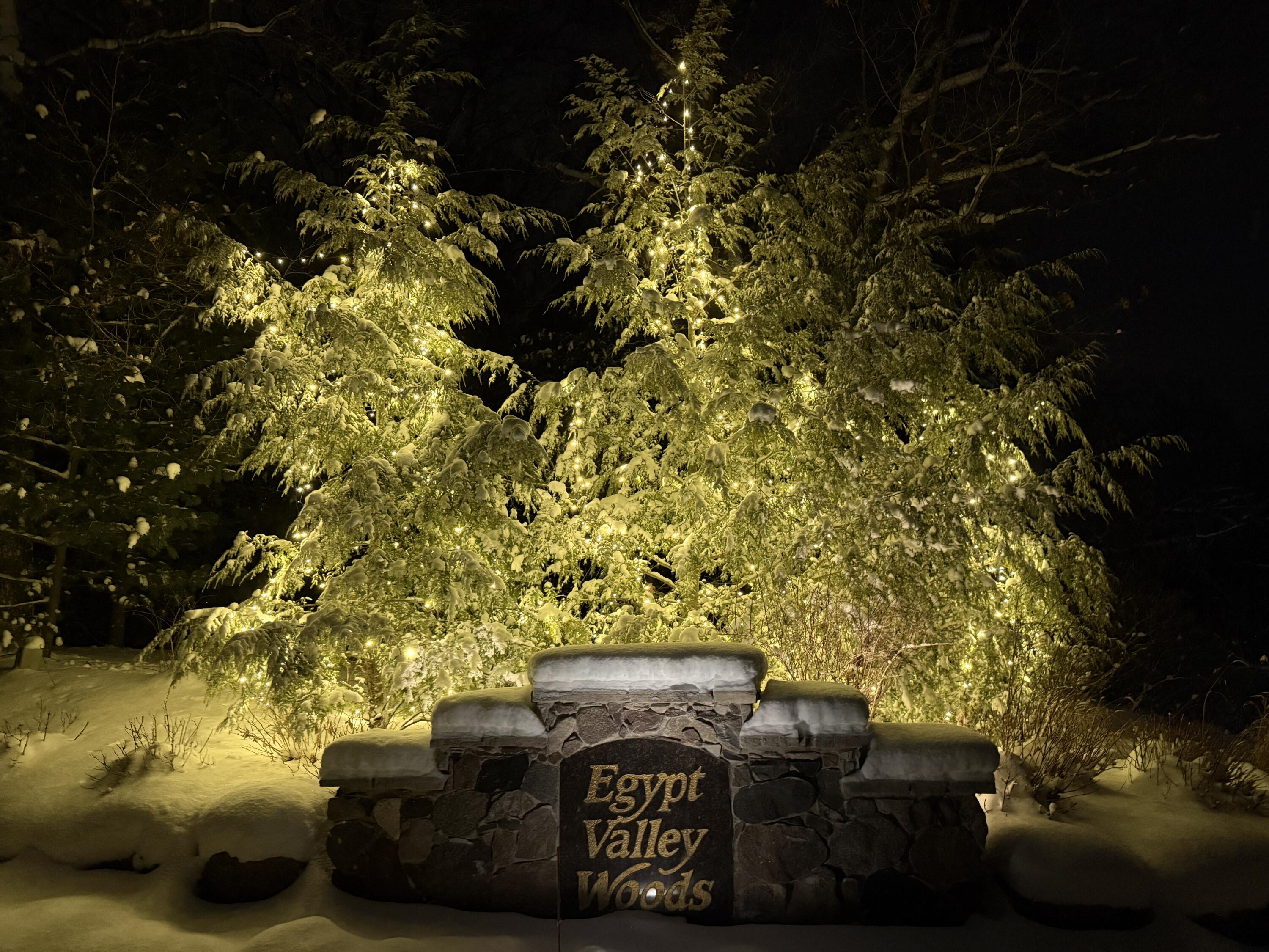 6544 Egypt Ridge Road Northeast Rockford, MI 49341 - Photo 75 of 93 IMG_5669