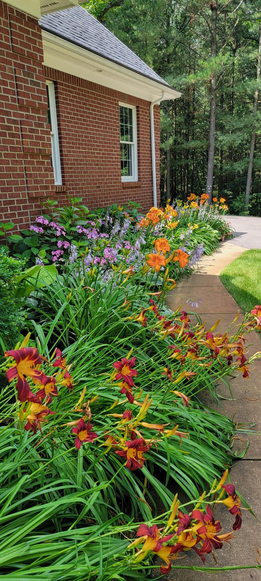 6544 Egypt Ridge Road Northeast Rockford, MI 49341 - Photo 79 of 93 20230718_121248