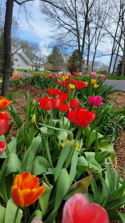 $1,250,000 | 6544 Egypt Ridge Road Northeast, Rockford, MI 49341