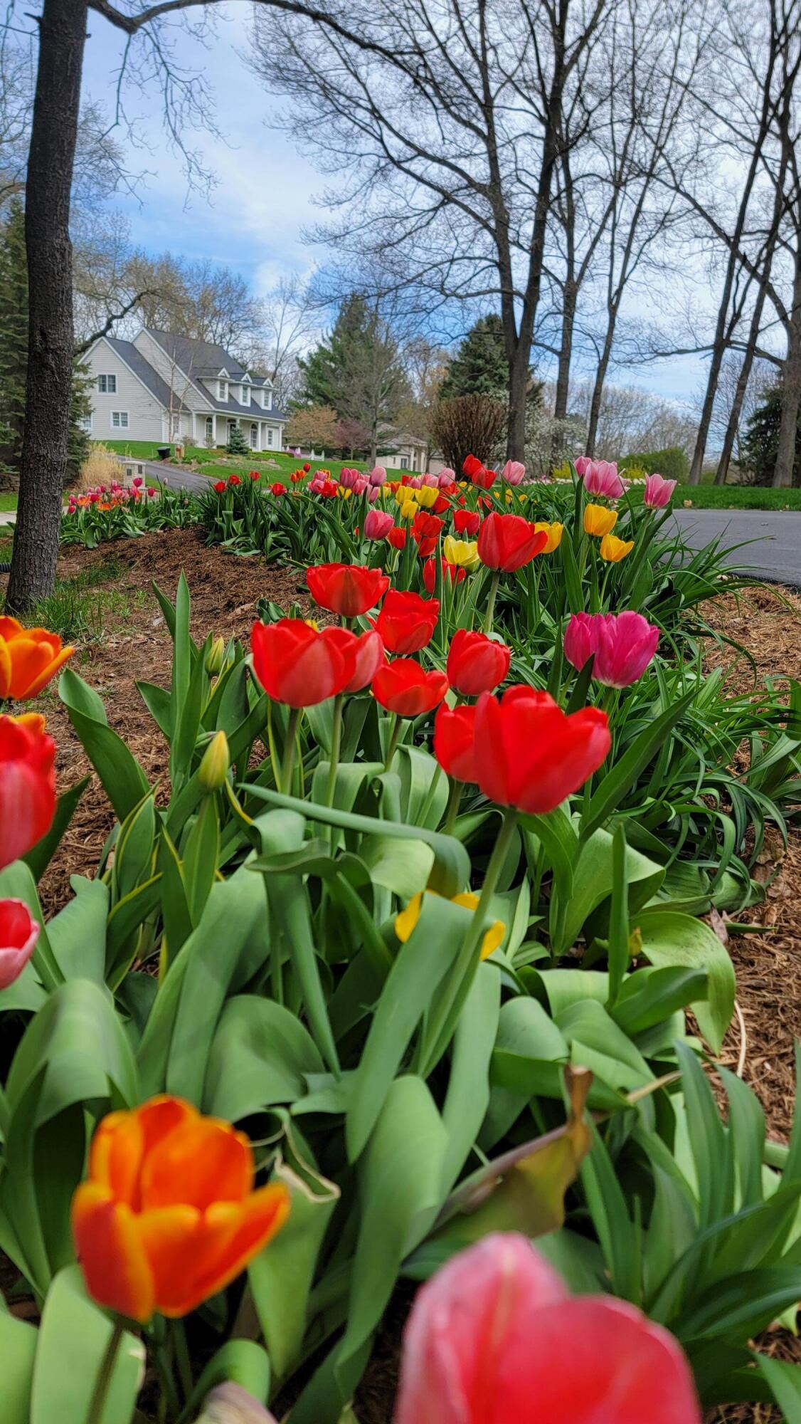 6544 Egypt Ridge Road Northeast Rockford, MI 49341 - Photo 80 of 93 20250430_141839