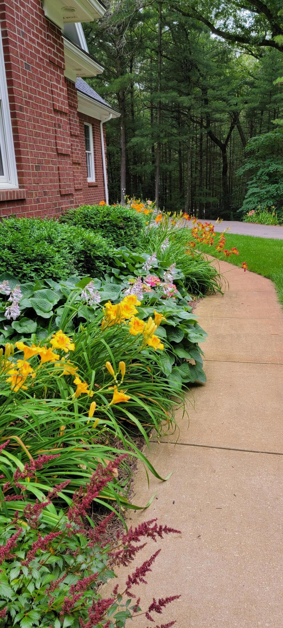 6544 Egypt Ridge Road Northeast Rockford, MI 49341 - Photo 81 of 93 20210708_151519