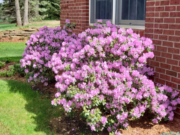 $1,250,000 | 6544 Egypt Ridge Road Northeast, Rockford, MI 49341