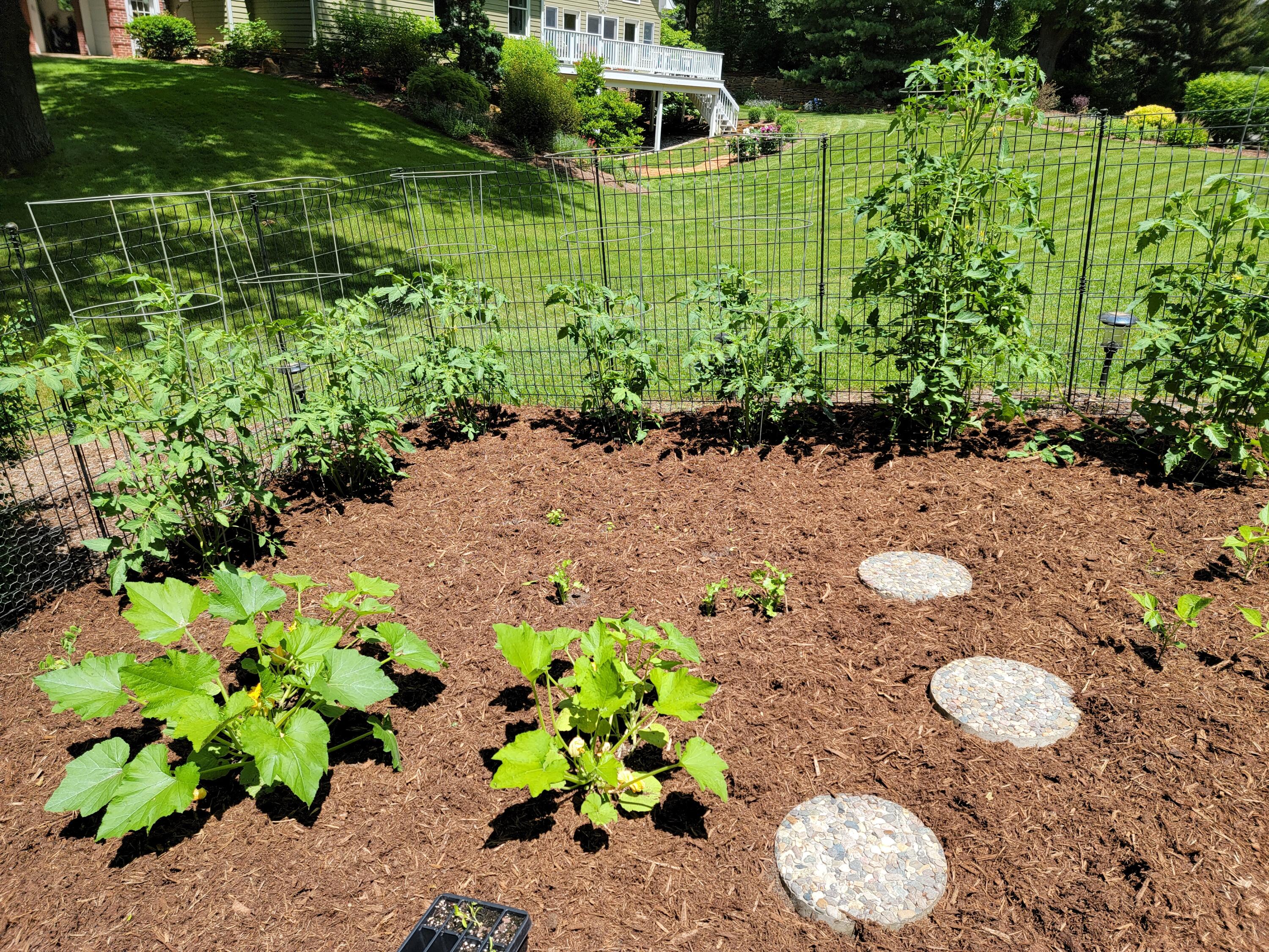 6544 Egypt Ridge Road Northeast Rockford, MI 49341 - Photo 85 of 93 20210614_140934