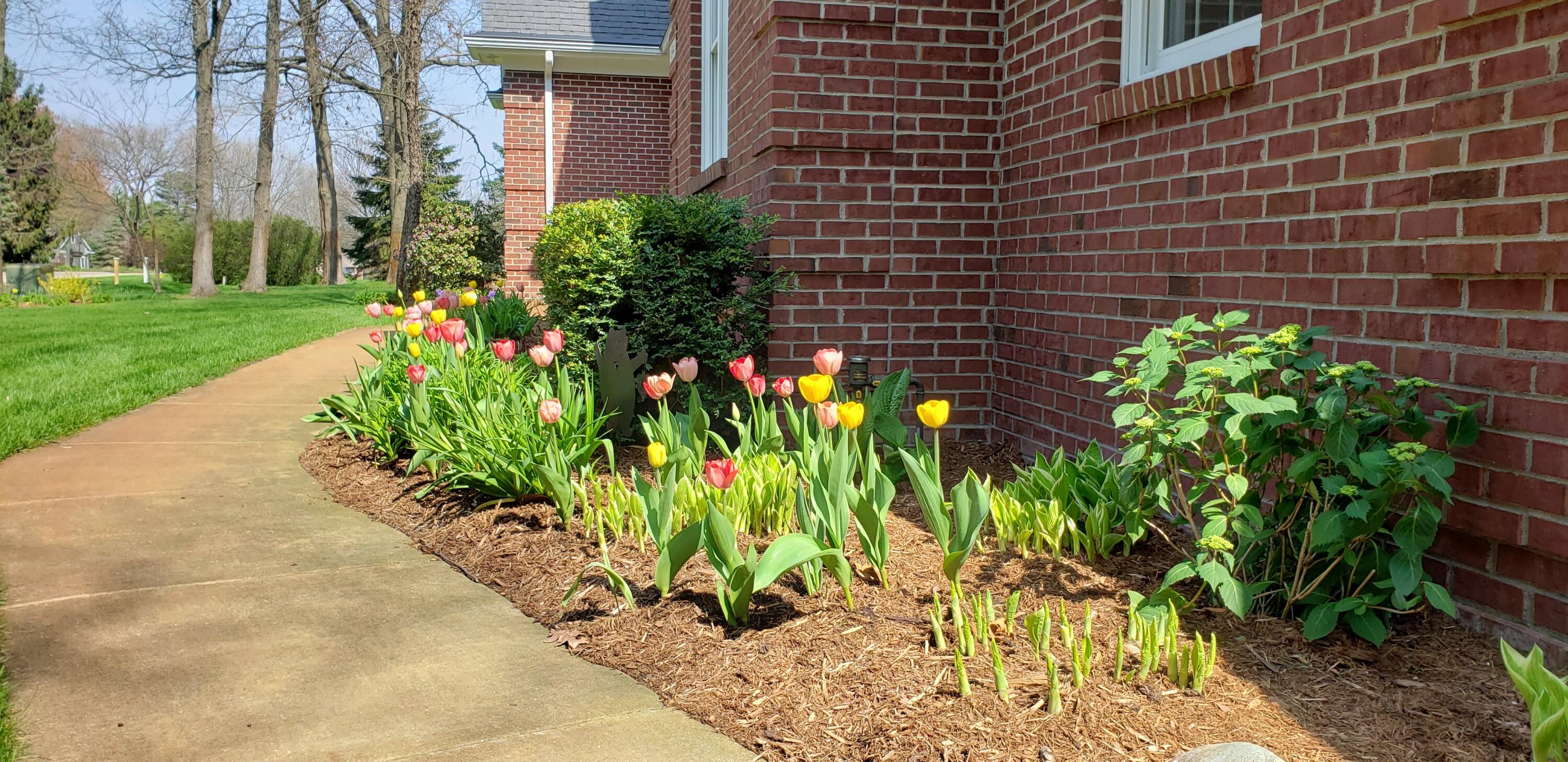 6544 Egypt Ridge Road Northeast Rockford, MI 49341 - Photo 89 of 93 20210428_155556