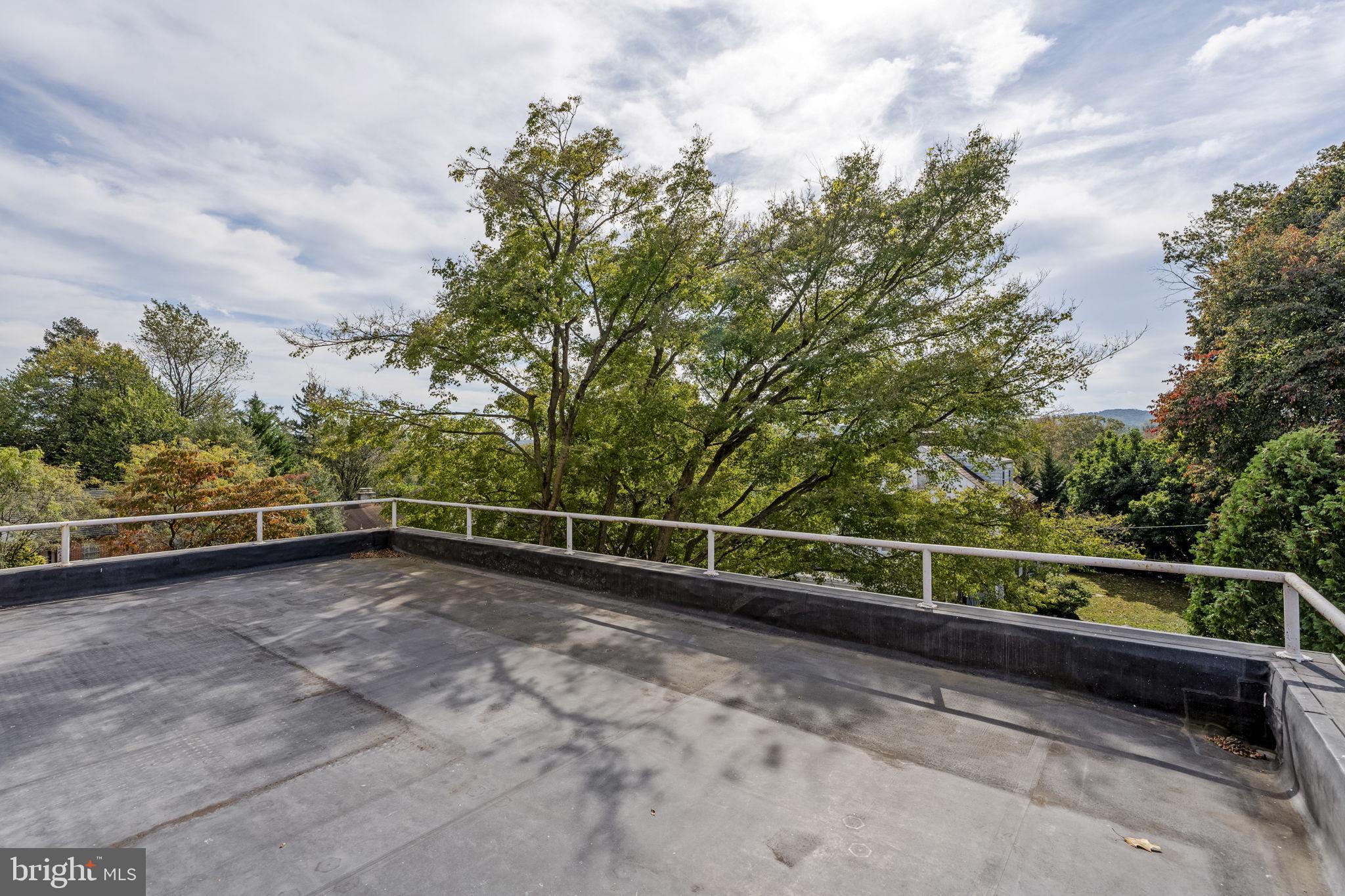 429 Devon Terrace Reading, PA 19607 - Photo 49 of 61