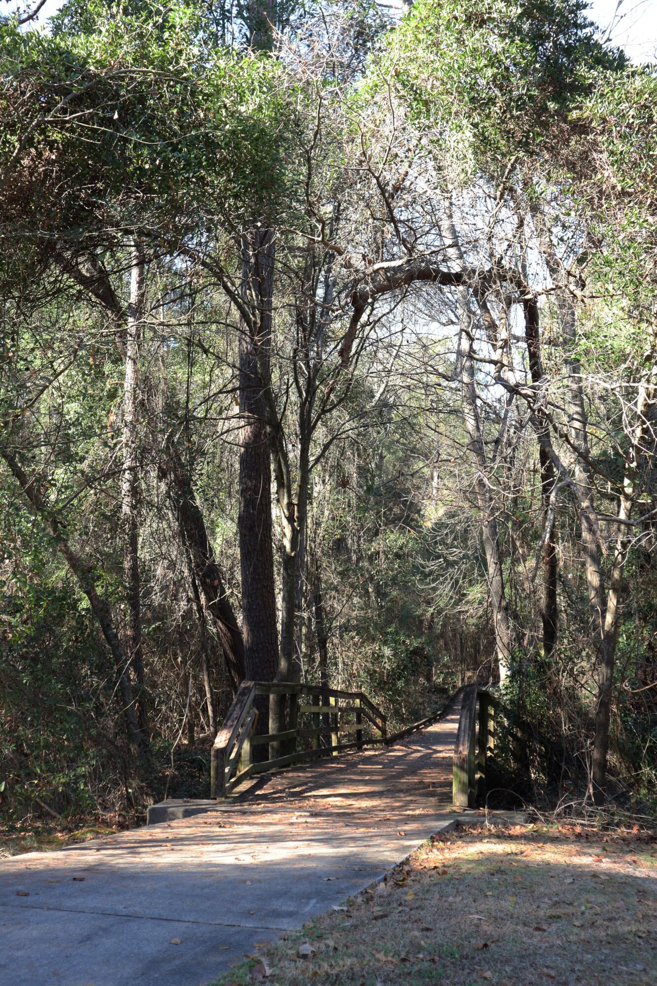 486 Old Walnut Branch North Augusta, SC 29860 - Photo 57 of 63 IMG_9327E