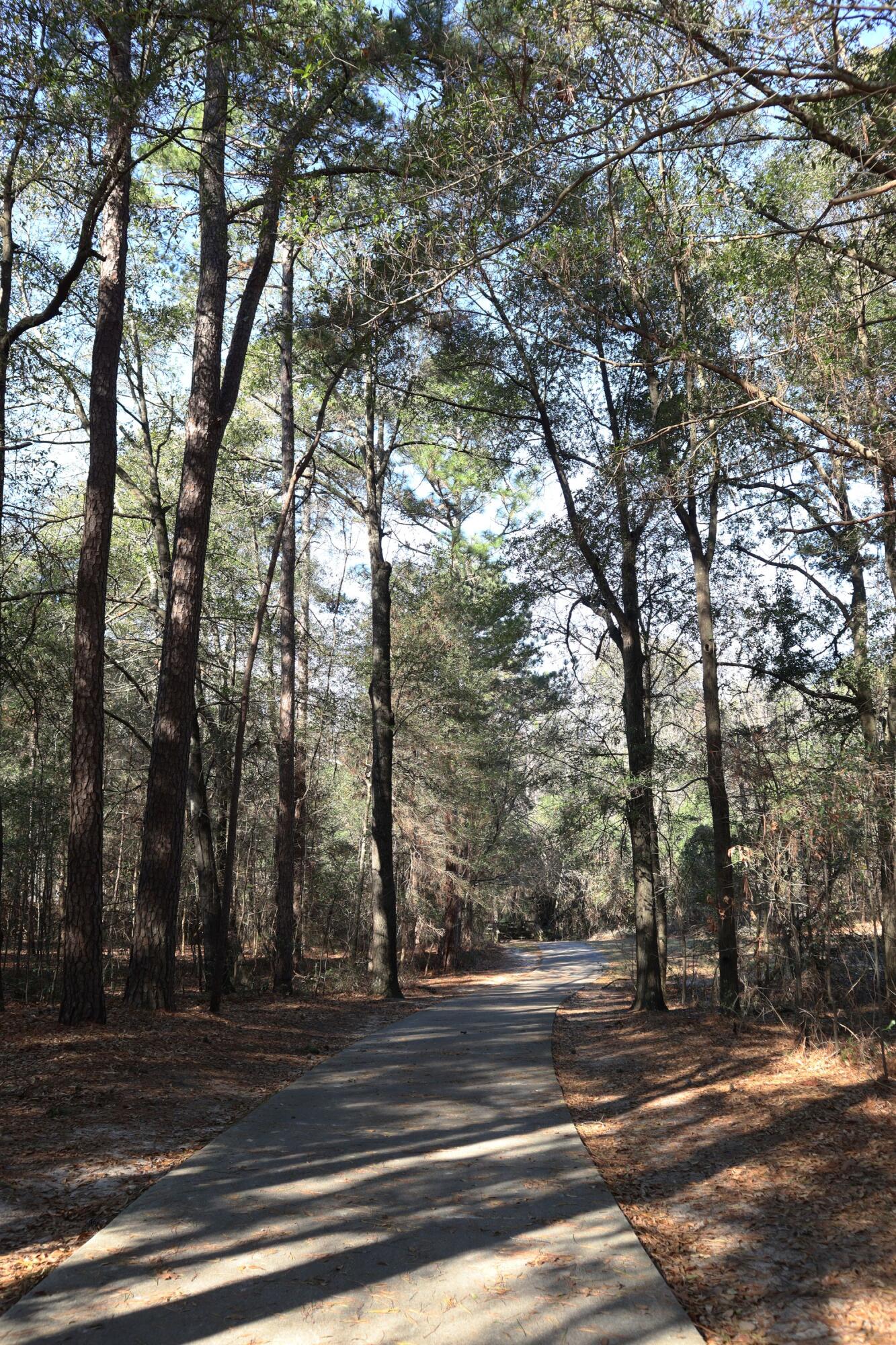 486 Old Walnut Branch North Augusta, SC 29860 - Photo 58 of 63 IMG_9324E
