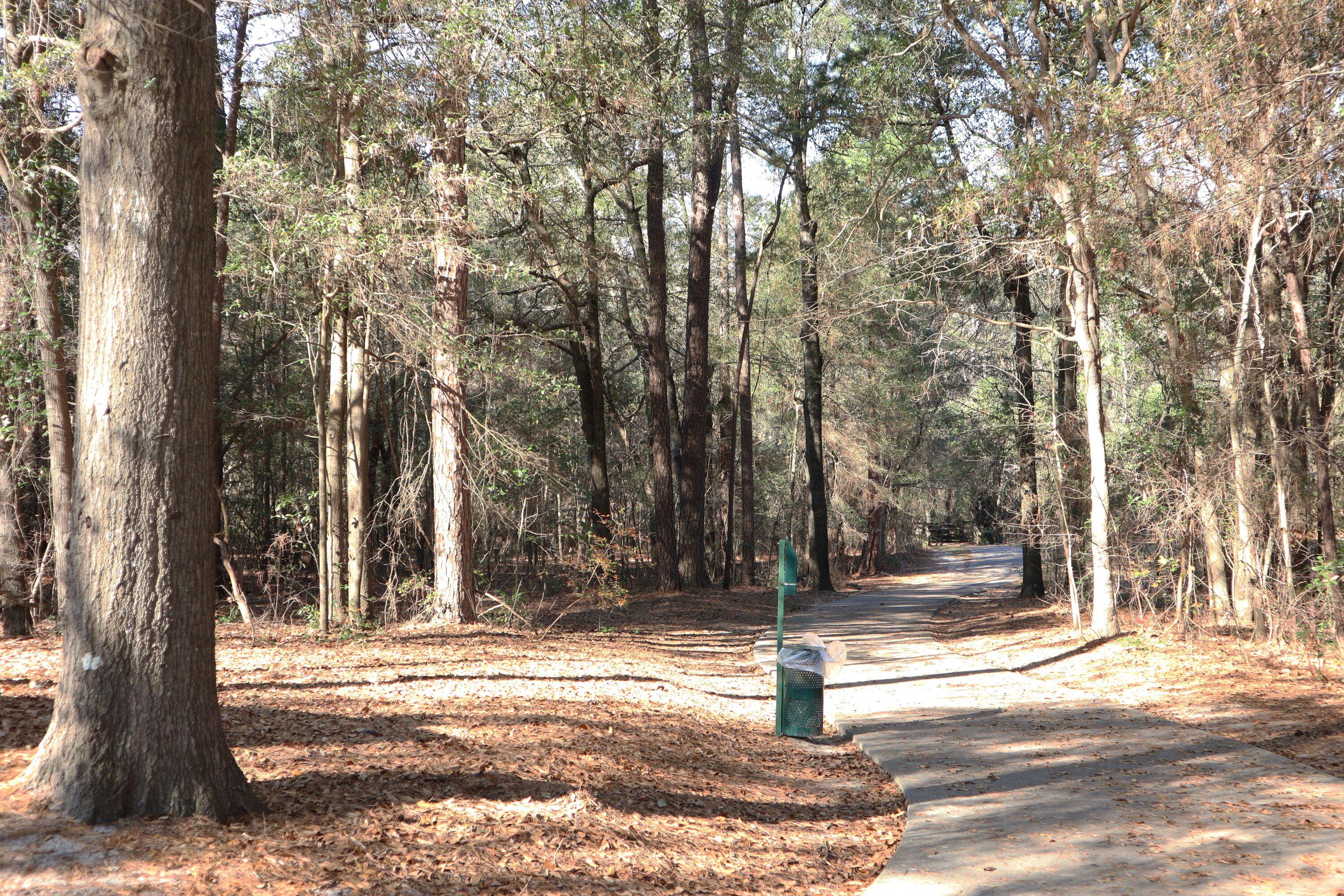 486 Old Walnut Branch North Augusta, SC 29860 - Photo 61 of 63 IMG_9311E