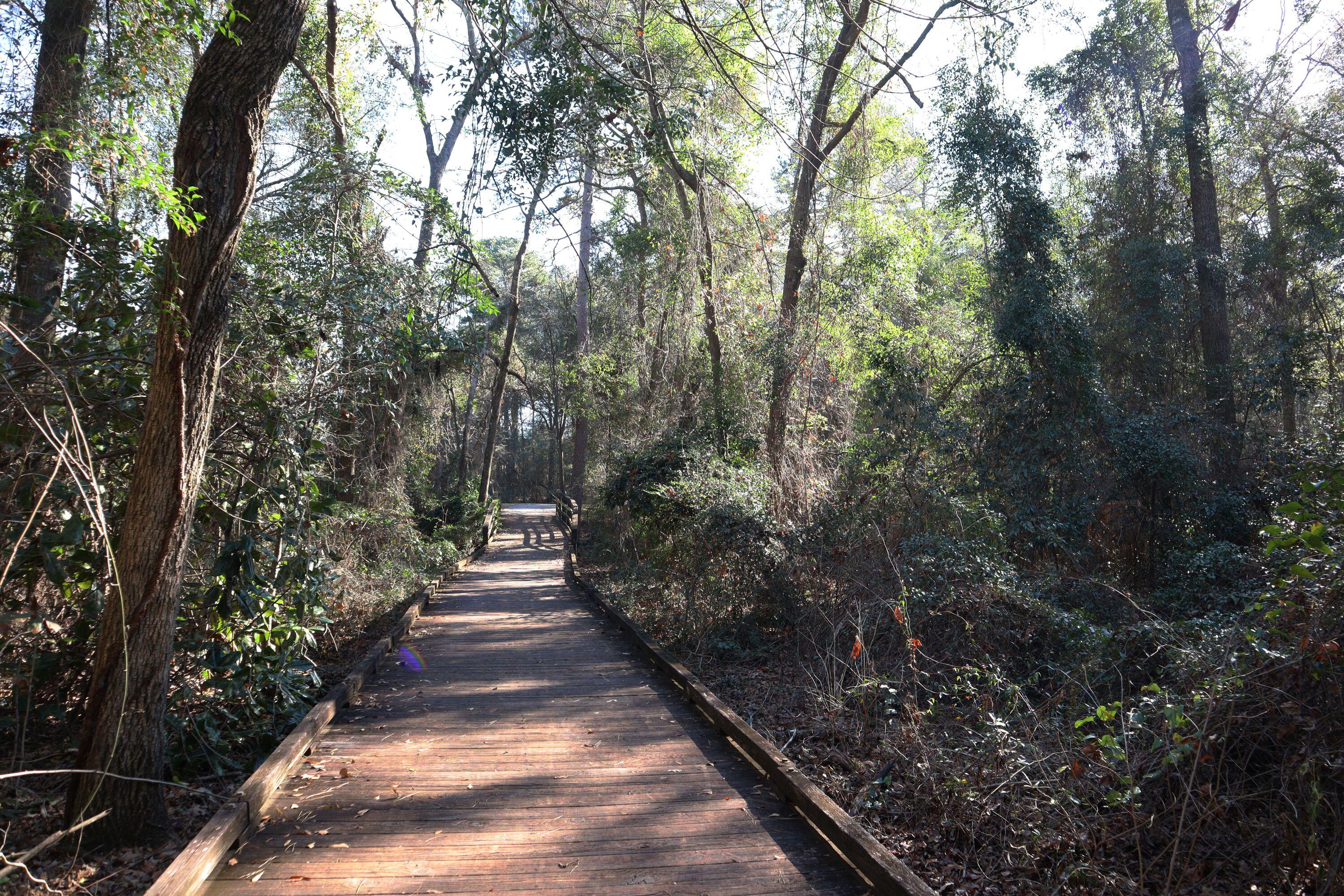 486 Old Walnut Branch North Augusta, SC 29860 - Photo 63 of 63 IMG_9337E