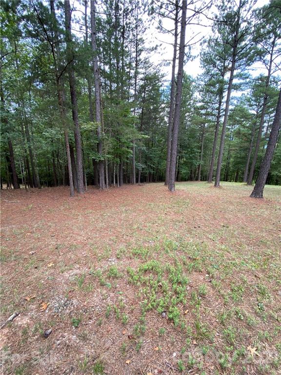 19 River Park Lane Mill Spring, NC 28756 - Photo 1 of 13 Gallery Image 1