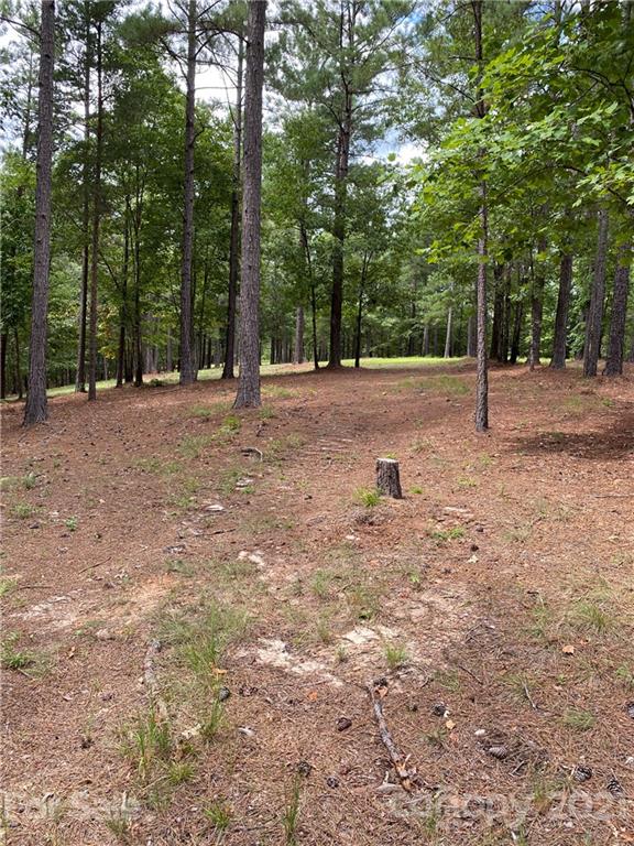 19 River Park Lane Mill Spring, NC 28756 - Photo 11 of 13 Gallery Image 11