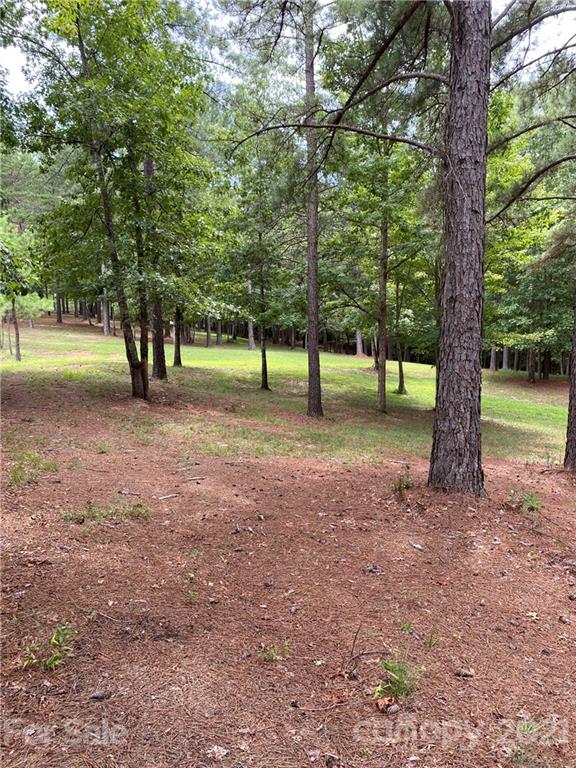 19 River Park Lane Mill Spring, NC 28756 - Photo 12 of 13 Gallery Image 12