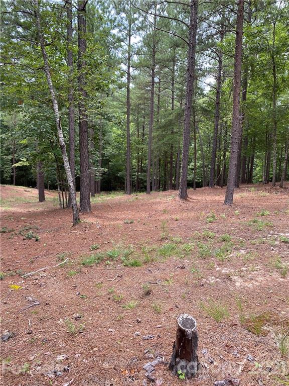 19 River Park Lane Mill Spring, NC 28756 - Photo 13 of 13 Gallery Image 13