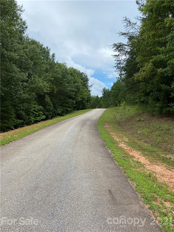 19 River Park Lane Mill Spring, NC 28756 - Photo 3 of 13 Gallery Image 3