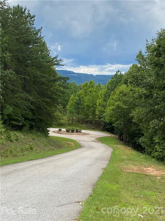 19 River Park Lane Mill Spring, NC 28756 - Photo 4 of 13 Gallery Image 4