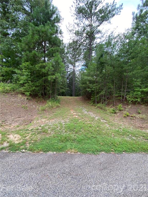 19 River Park Lane Mill Spring, NC 28756 - Photo 5 of 13 Gallery Image 5