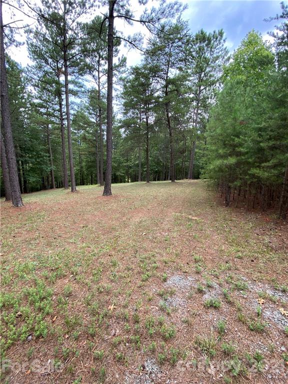 19 River Park Lane Mill Spring, NC 28756 - Photo 6 of 13 Gallery Image 6