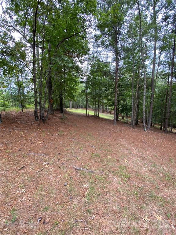 19 River Park Lane Mill Spring, NC 28756 - Photo 7 of 13 Gallery Image 7