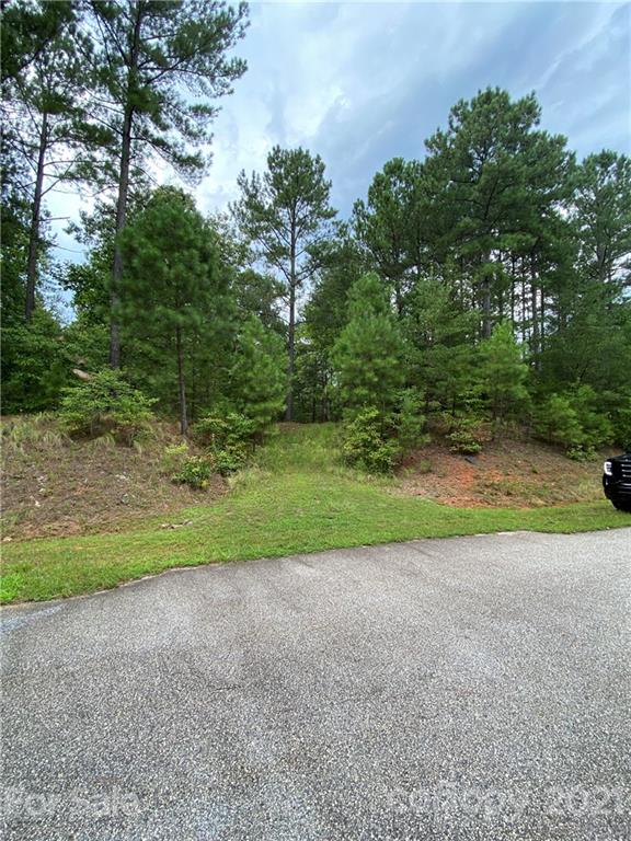 19 River Park Lane Mill Spring, NC 28756 - Photo 10 of 13 Gallery Image 10