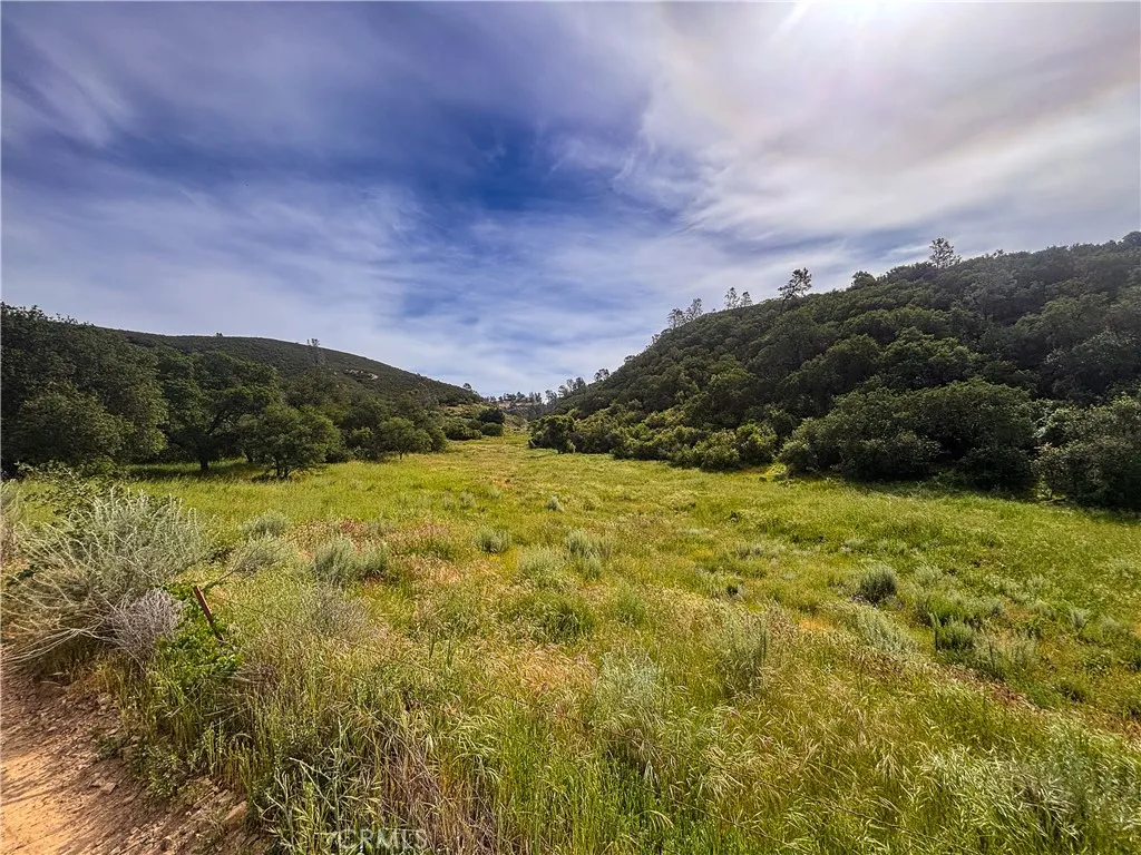 160 Northeast Lockwood San Ardo Road King City, CA 93930 - Photo 1 of 12 a view of an outdoor space and a yard