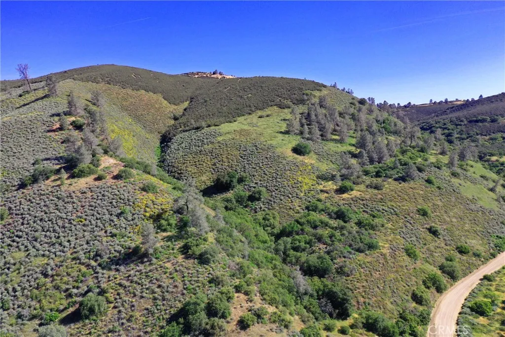 160 Northeast Lockwood San Ardo Road King City, CA 93930 - Photo 2 of 12 a view of a yard with a mountain in the background