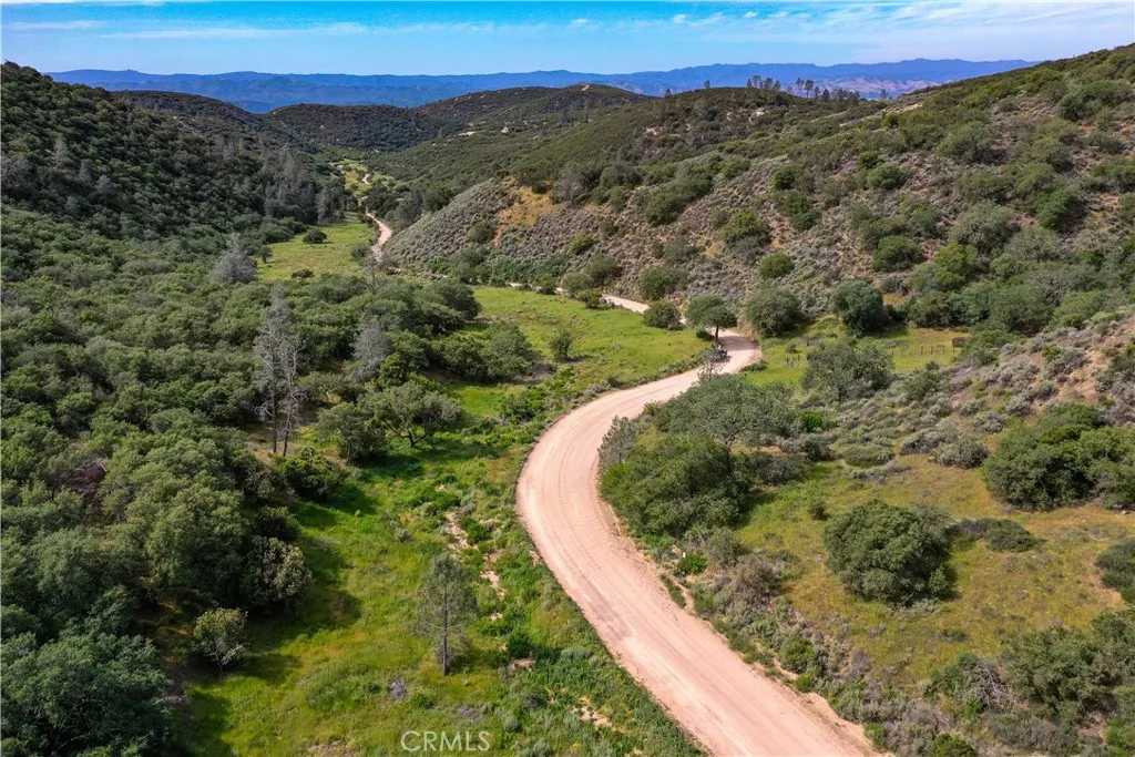160 Northeast Lockwood San Ardo Road King City, CA 93930 - Photo 5 of 12 a view of a forest with a lush green forest
