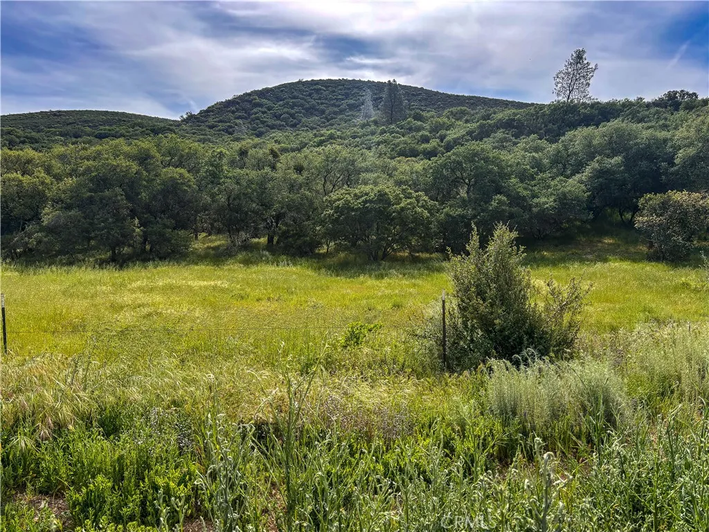 160 Northeast Lockwood San Ardo Road King City, CA 93930 - Photo 10 of 12 a view of a lush green forest with a houses