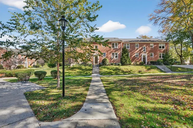 a view of a yard with plants