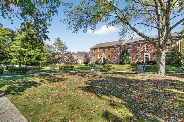 a view of a field with large trees