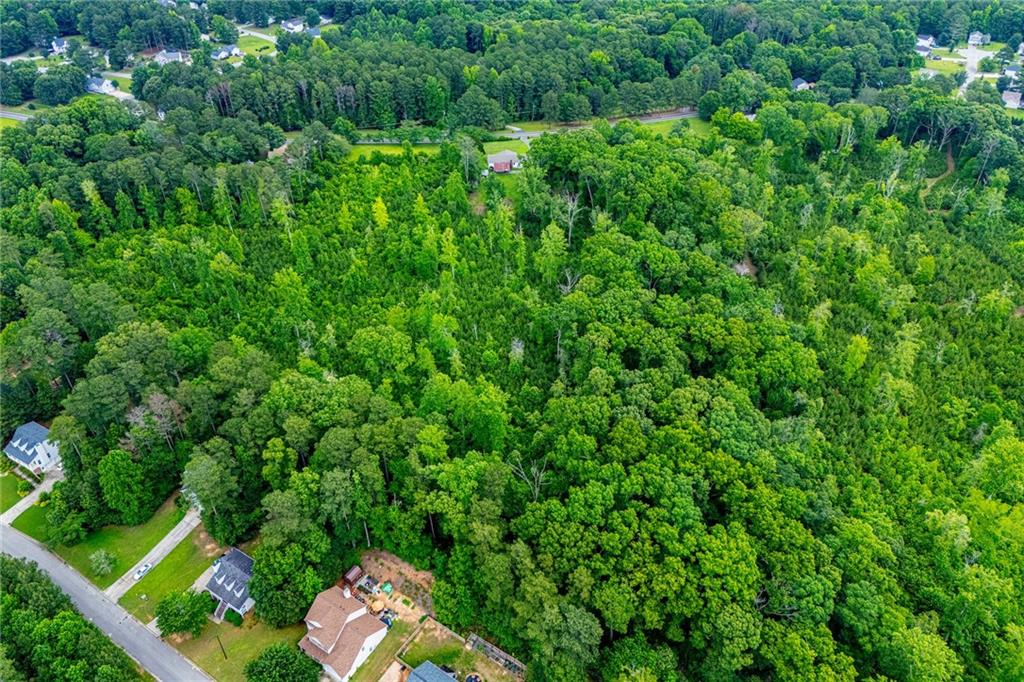 0 Lindsey Lake Road Dallas, GA 30157 - Photo 24 of 46