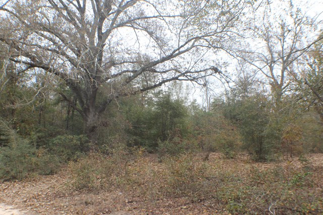 4400 Peach Orchard Road Hephzibah, GA 30815 - Photo 1 of 5 Main View