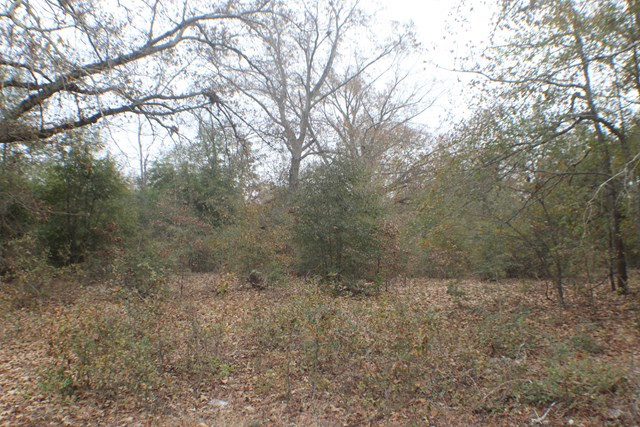 4400 Peach Orchard Road Hephzibah, GA 30815 - Photo 3 of 5 Gallery Image 3