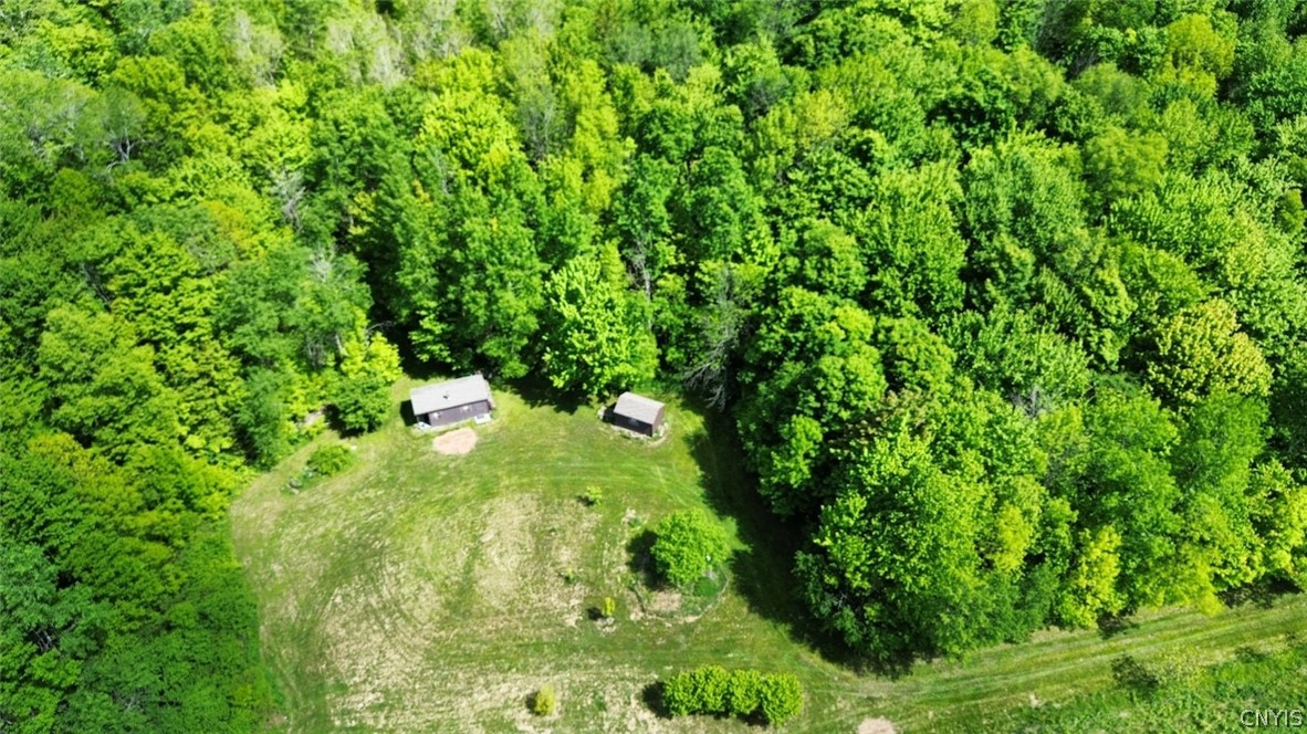 Sprouls Road Cortland, NY 13045 - Photo 44 of 48