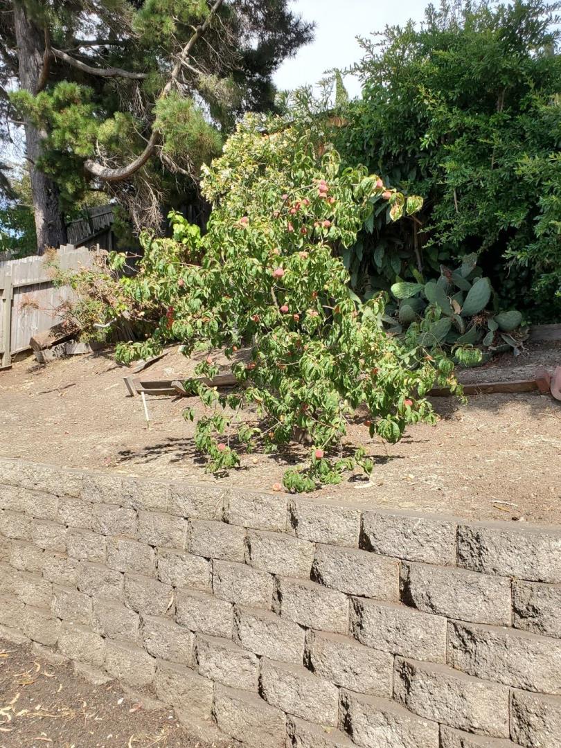 1466 Frances Road San Pablo, CA 94806 - Photo 20 of 21 Gallery Image 20