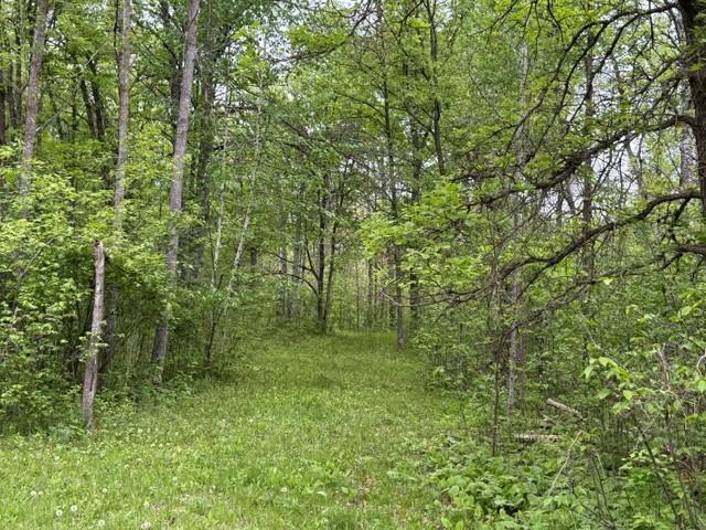 40781 County 2 Bagley, MN 56621 - Photo 8 of 15