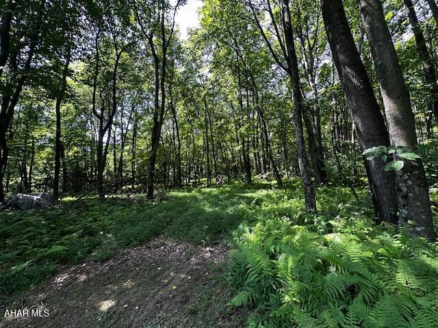 538 Two Mile Road Howard, PA 16841 - Photo 11 of 20