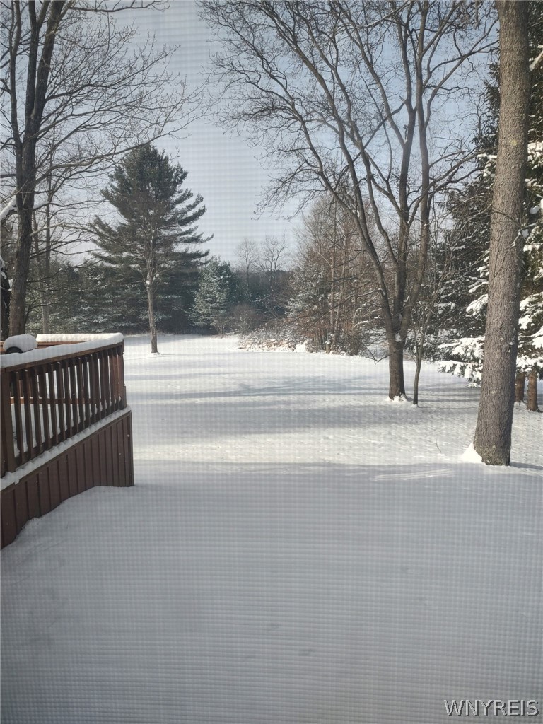 1999 Dugan Road Olean, NY 14760 - Photo 25 of 30 Mature trees frame the snow-covered backyard visib
