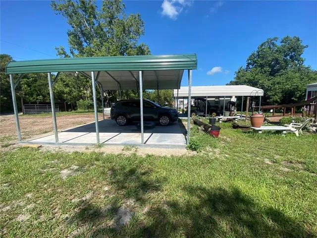 a close up of a flower in a garden