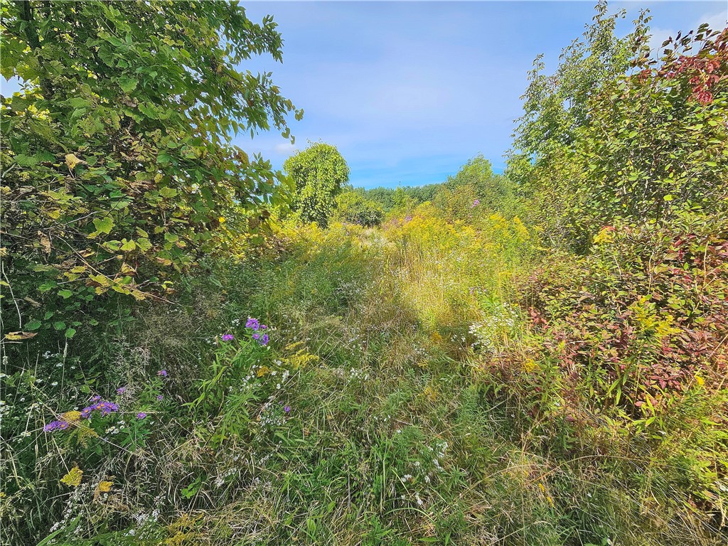 8237 Ford Road Pulteney, NY 14418 - Photo 19 of 48 Gallery Image 19