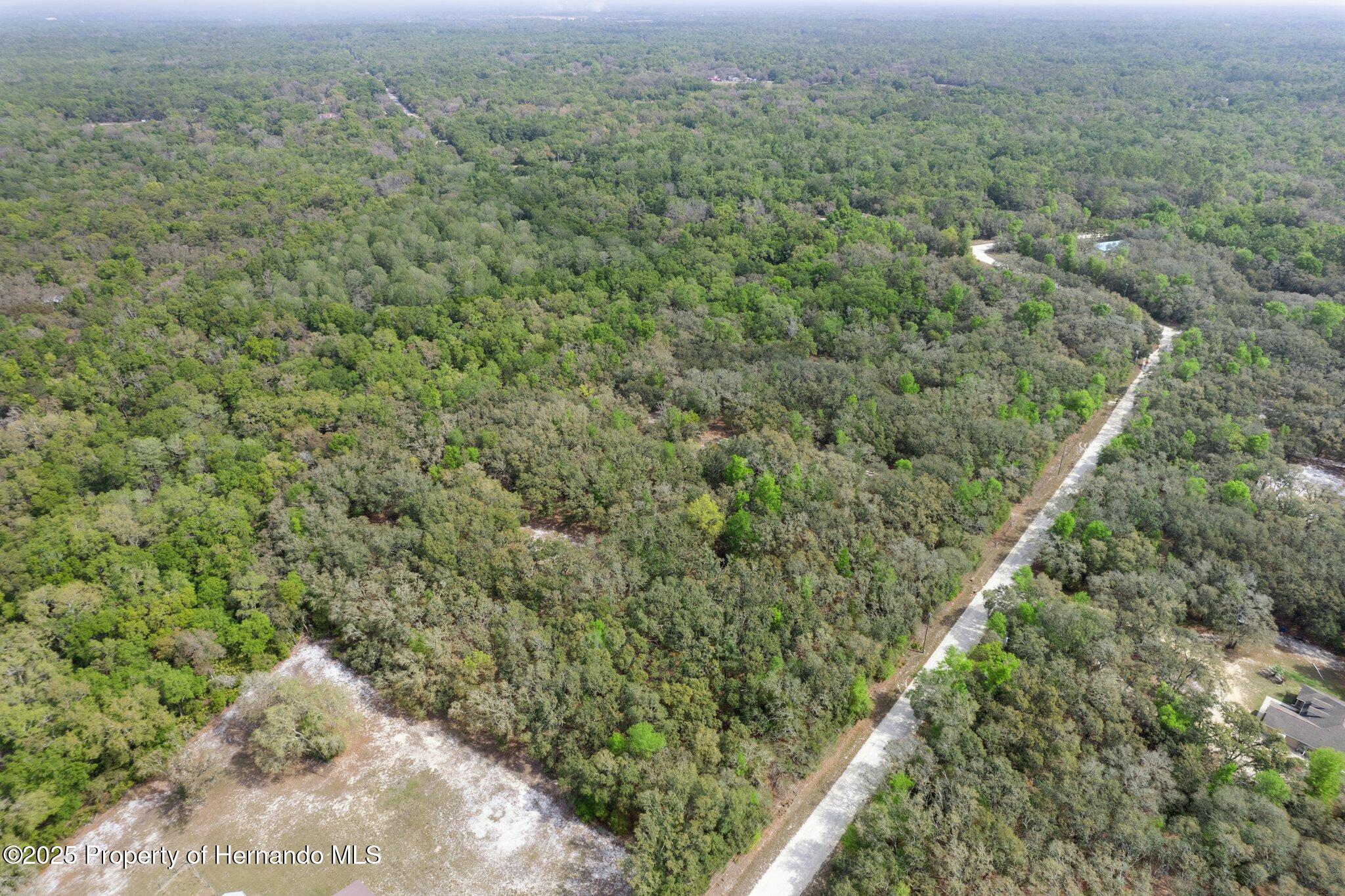 0 Rimrock Street Webster, FL 33597 - Photo 23 of 25