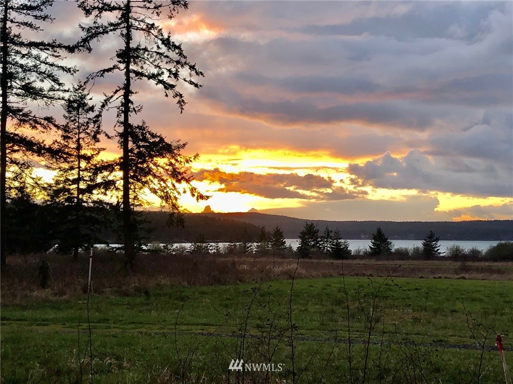 4 Decatur Shores Anacortes, WA 98221 - Photo 1 of 19 a view of a yard