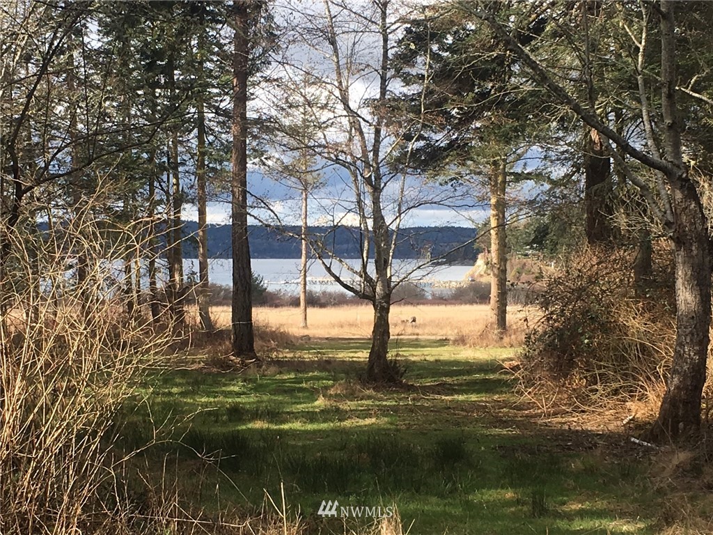 4 Decatur Shores Anacortes, WA 98221 - Photo 3 of 19