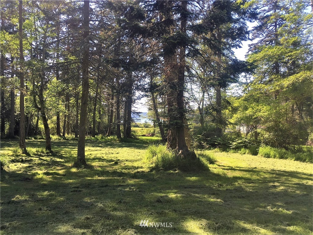 4 Decatur Shores Anacortes, WA 98221 - Photo 4 of 19 a view of a trees in a yard