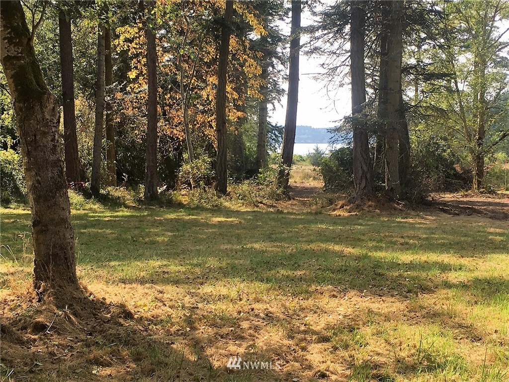 4 Decatur Shores Anacortes, WA 98221 - Photo 5 of 19 a view of water fountain with trees in the background